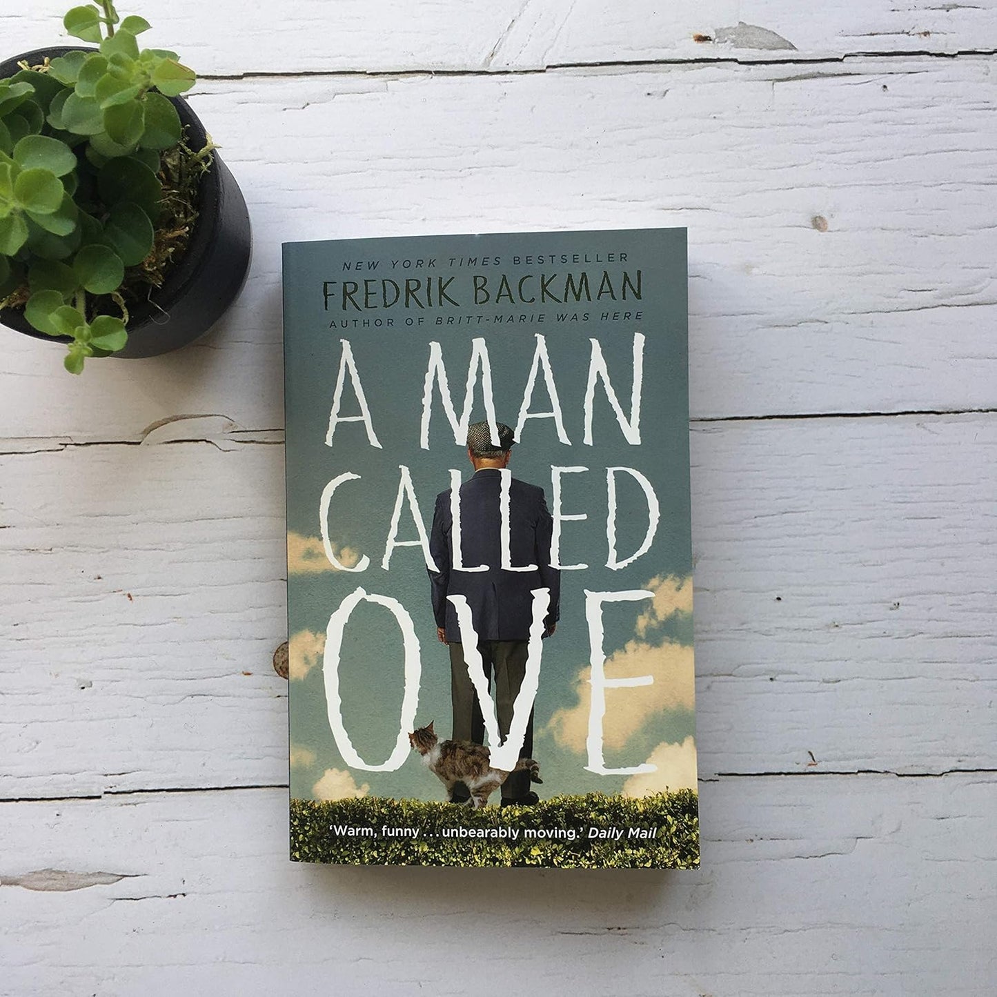 Pre Order: A MAN CALLED OVE by Fredrik Backman