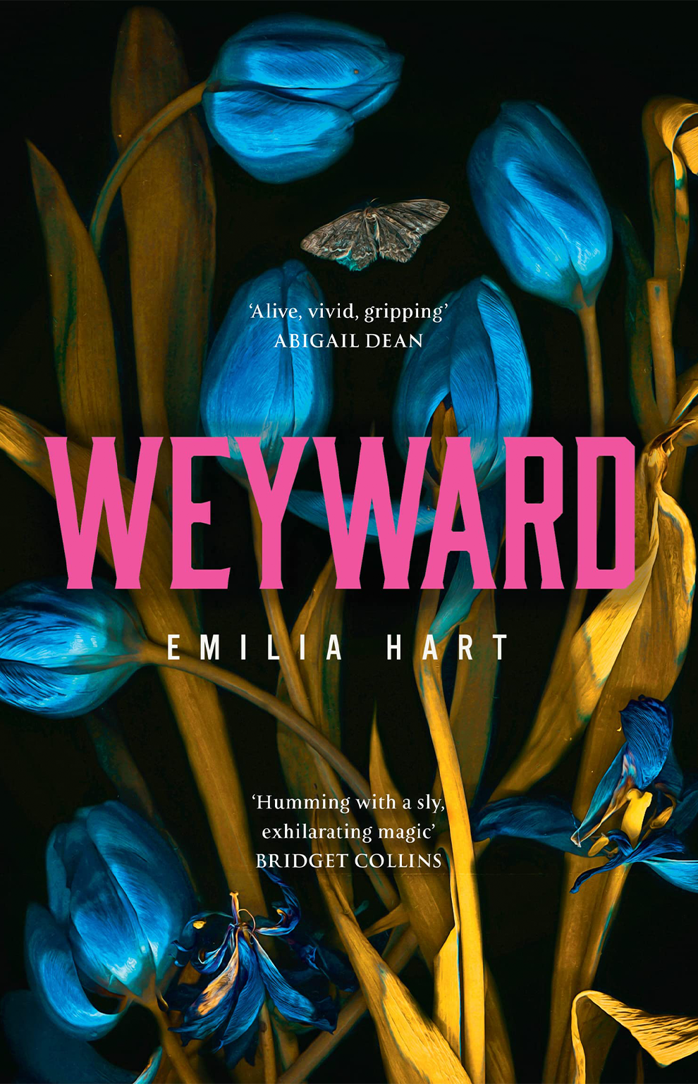 Pre Order: Weyward by Emilia Hart