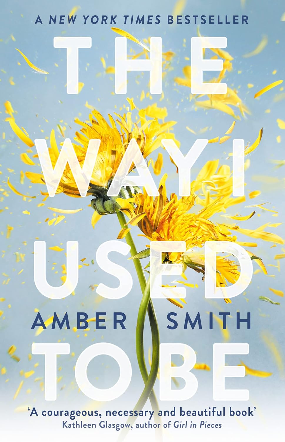 Pre Order: The Way I Used To Be: The TikTok sensation by Amber Smith