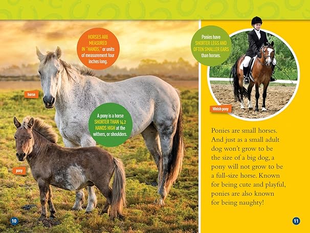 Pre Order : National Geographic Kids Readers: Gallop! 100 Fun Facts About Horses by National Geographic Kids